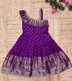Royal Mini Silk Saree Outfit