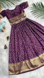 Bandhej Paithani Gown